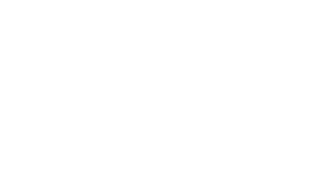 Logo Tir Na nÓg